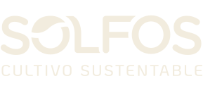 Digital Agency